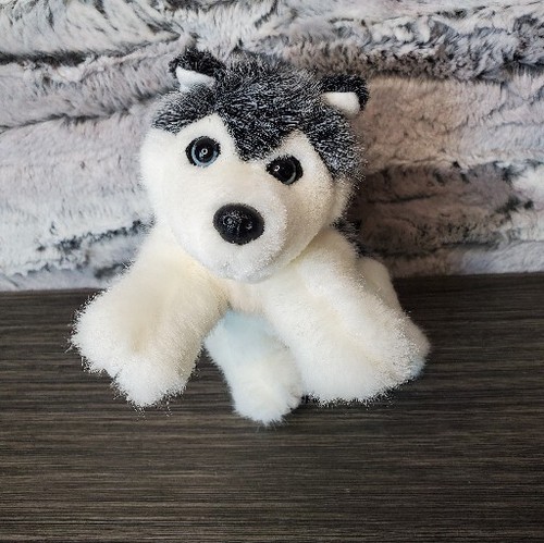 Peluche casa animale husky