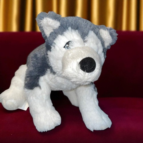 Peluche cane husky - cane, 10"