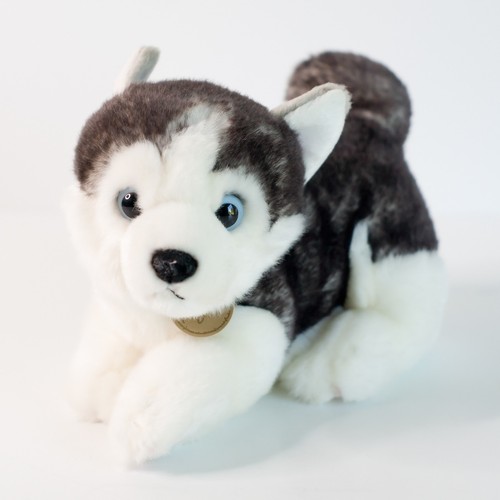 Aurora miyoni tots siberian - tots,
