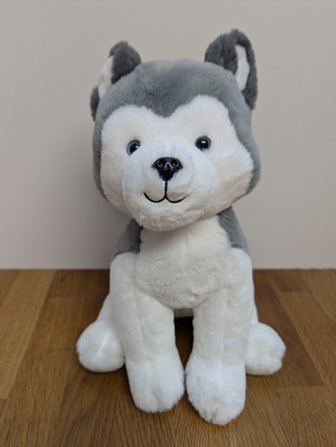 Fao nero husky cucciolo cane - husky,