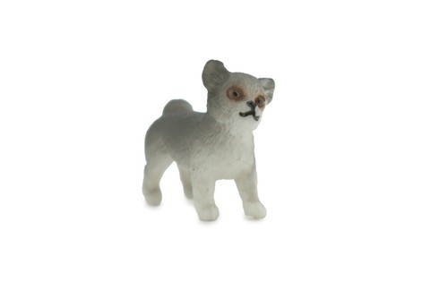 Cane cucciolo husky - cucciolo,