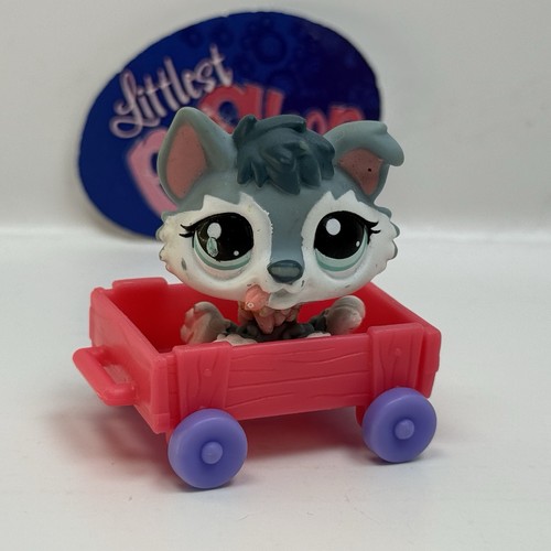 Husky puppy dog 2036 con - husky,
