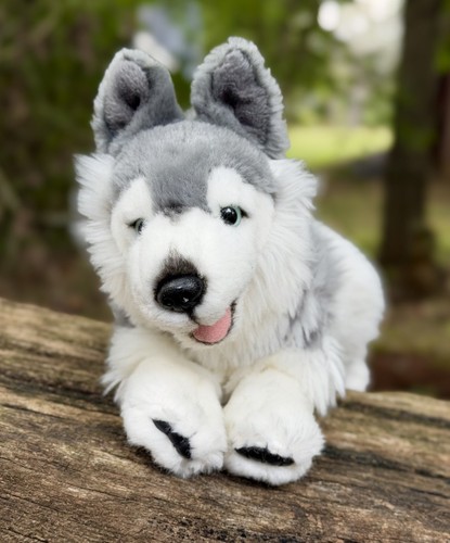 Peluche cane floppy anima - cane, 12"