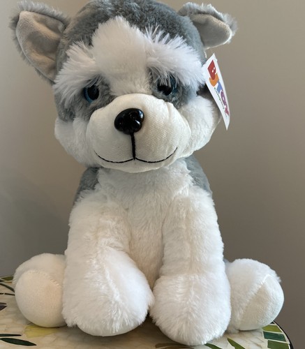 Shasta husky giocattolo - husky,