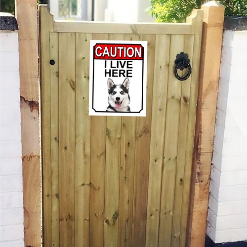 Attenzione vivo qui cane