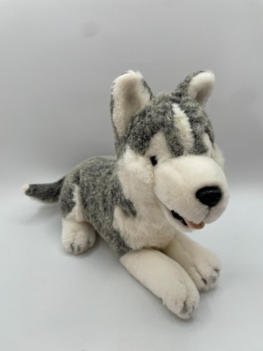 Dandee mty siberian husky - mty,