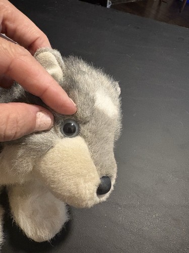 Peluche cane joli siberian - peluche,