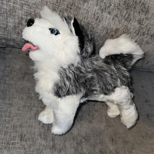 Peluche cane cucciolo - , husky