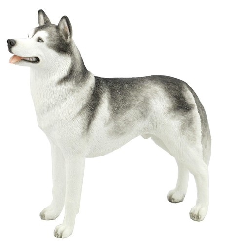 Polystone siberian husky - siberian,