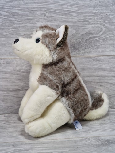 Lapponia siberian husky - uk,
