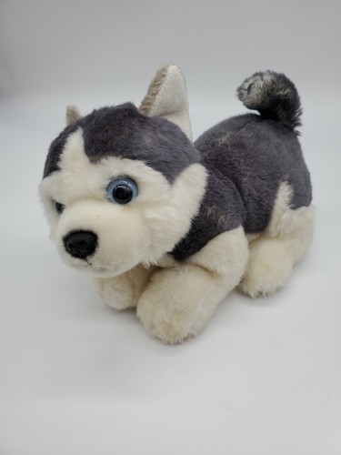 Peluche cane cucciolo - , husky