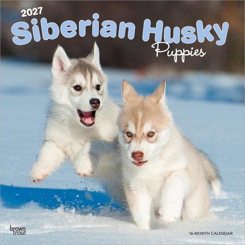 Calendario siberian husky - calendario,