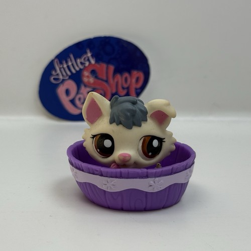 Husky puppy dog 2036 - puppy, #2036