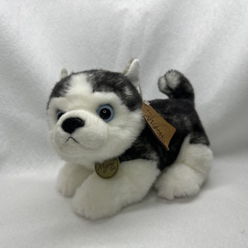 Aurora miyoni tots - aurora, siberian