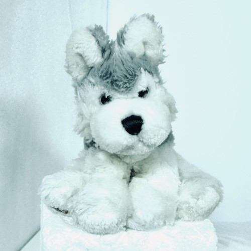 Ganz peluche webkinz - ganz,