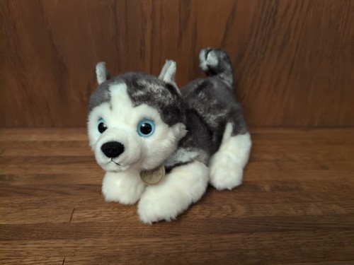 Peluche miyoni aurora husky - peluche,