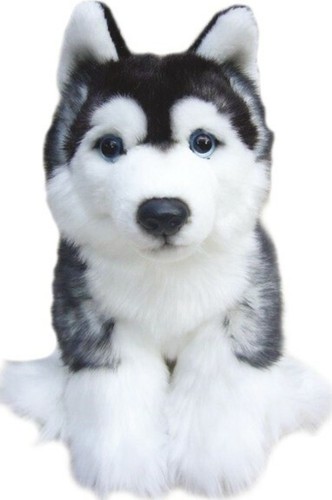 Orsacchiotto siberian husky - orsacchiotto,